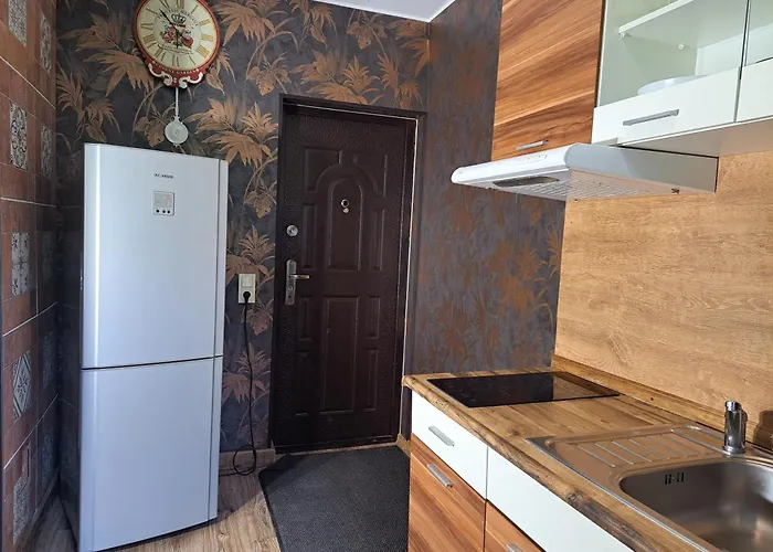 Aviatrix Night Airport Haven *