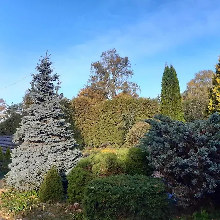 Aviatrix Night Airport Haven アパート リガ