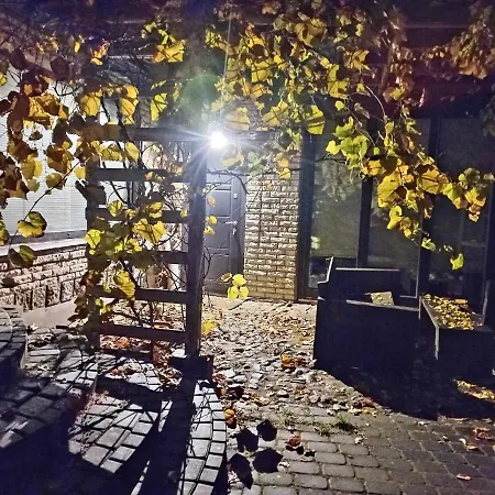 Aviatrix Night Airport Haven *