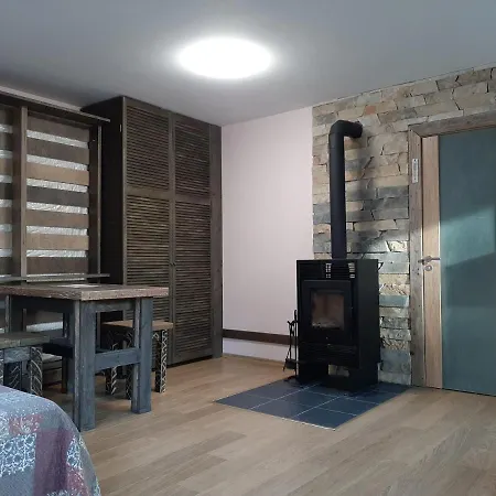 公寓 Aviatrix Night Airport Haven 里加