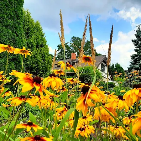 Aviatrix Night Airport Haven *