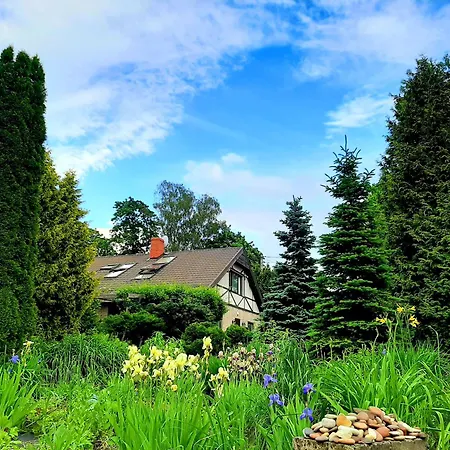 Aviatrix Night Airport Haven Ρίγα