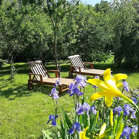 Aviatrix Night Airport Haven * リガ