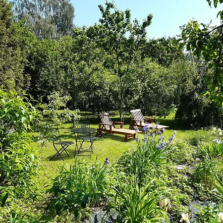 Aviatrix Night Airport Haven