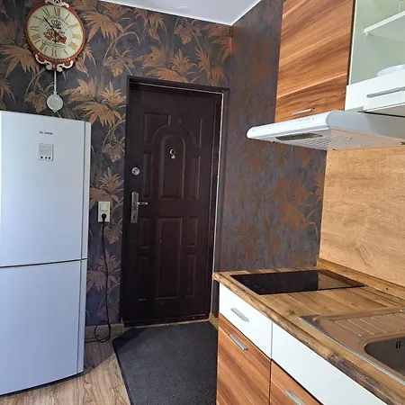 Aviatrix Night Airport Haven *