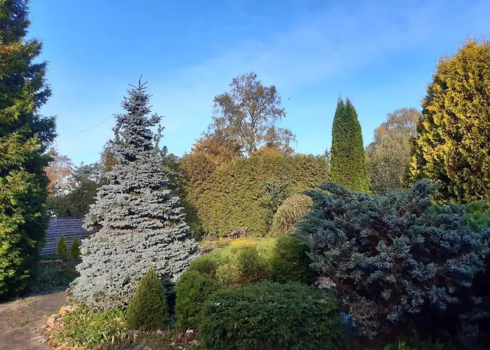 Aviatrix Night Airport Haven Διαμέρισμα Ρίγα