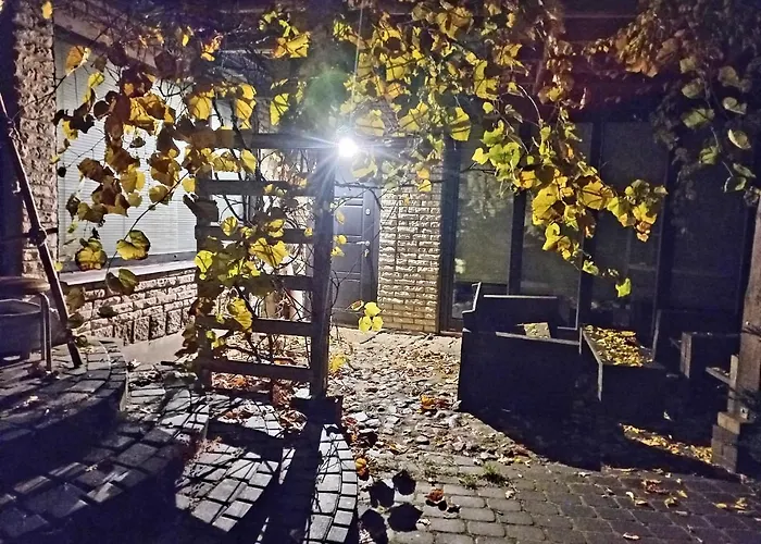 Aviatrix Night Airport Haven *