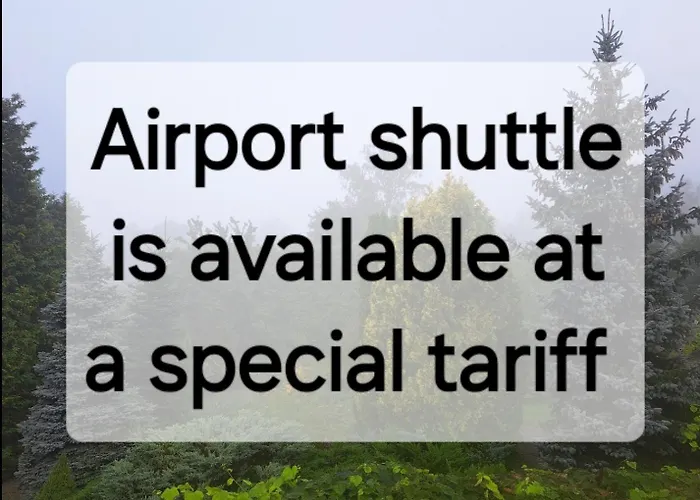 Aviatrix Night Airport Haven