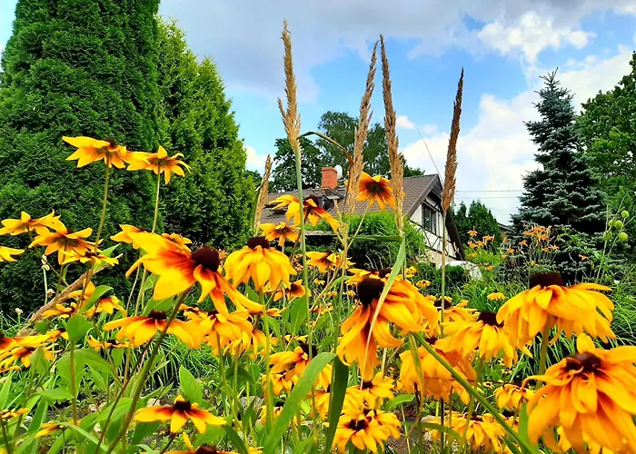 Aviatrix Night Airport Haven *