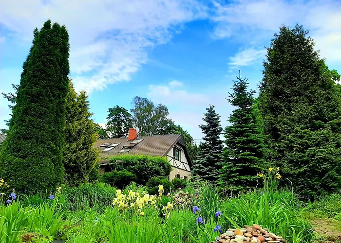 Aviatrix Night Airport Haven Ρίγα