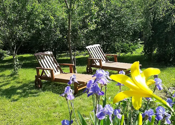 Aviatrix Night Airport Haven * Ryga