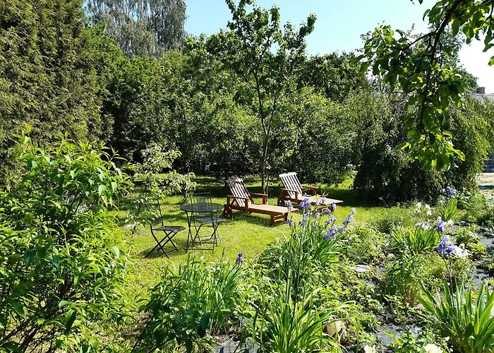 Aviatrix Night Airport Haven